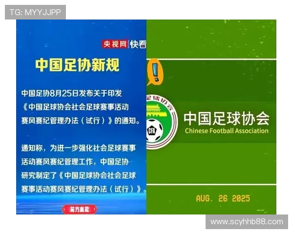 苏超启示：借鉴而非复制，探索本土化足球发展新路径(3)